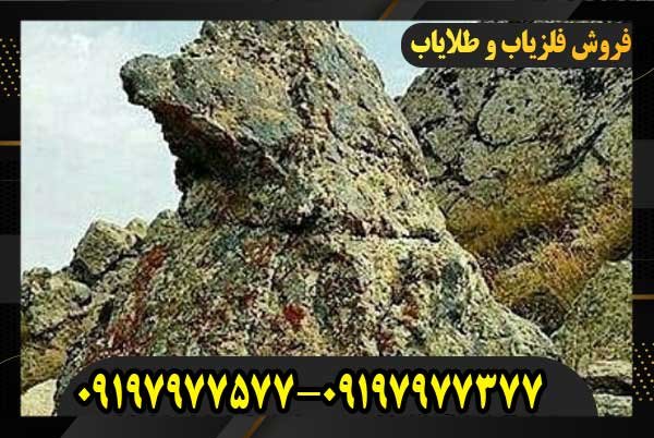 نماد پرنده در گنج یابی