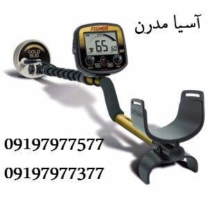 فیشر گلد باگ