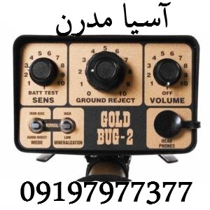 فیشر گلد باگ 2