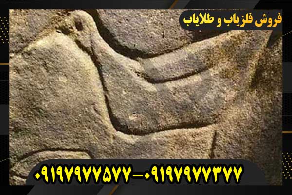 نماد پرنده در گنج یابی