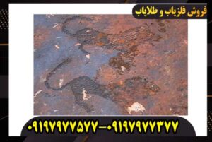 نماد ببر در دفینه یابی