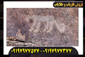 نماد ببر در دفینه یابی